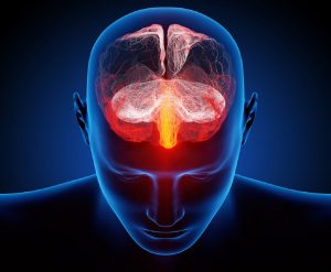 تاثیر شگفت انگیز بادام هندی بر روی حافظه