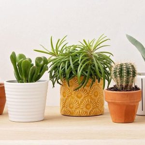 الگوی ساخت گلدان های آپارتمانی