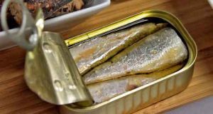 در هندوستان تن ماهی گلکسی در بطری نوشابه به فروش می رسند