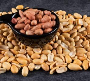 خرید بادام زمینی ارزان