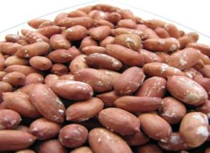 خرید و قیمت روز بادام آستانه