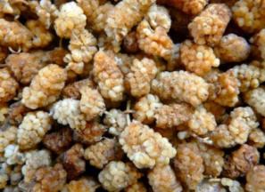 مشخصات توت سفید خشک شده + قیمت خرید