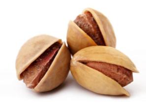 معرفی پسته تازه یزد + بهترین قیمت خرید