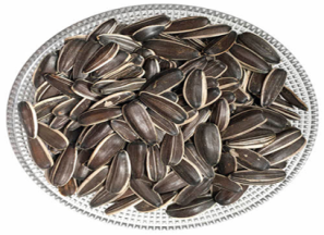 راهنمای خرید تخمه آفتابگردان خام + قیمت عالی