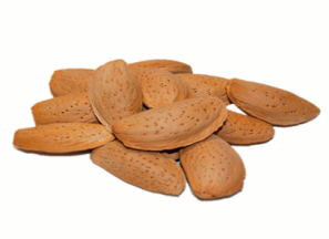 بهترین بادام سنگی عمده + قیمت خرید عالی