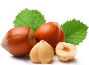 راهنمای خرید مغز فندق عمده + قیمت عالی